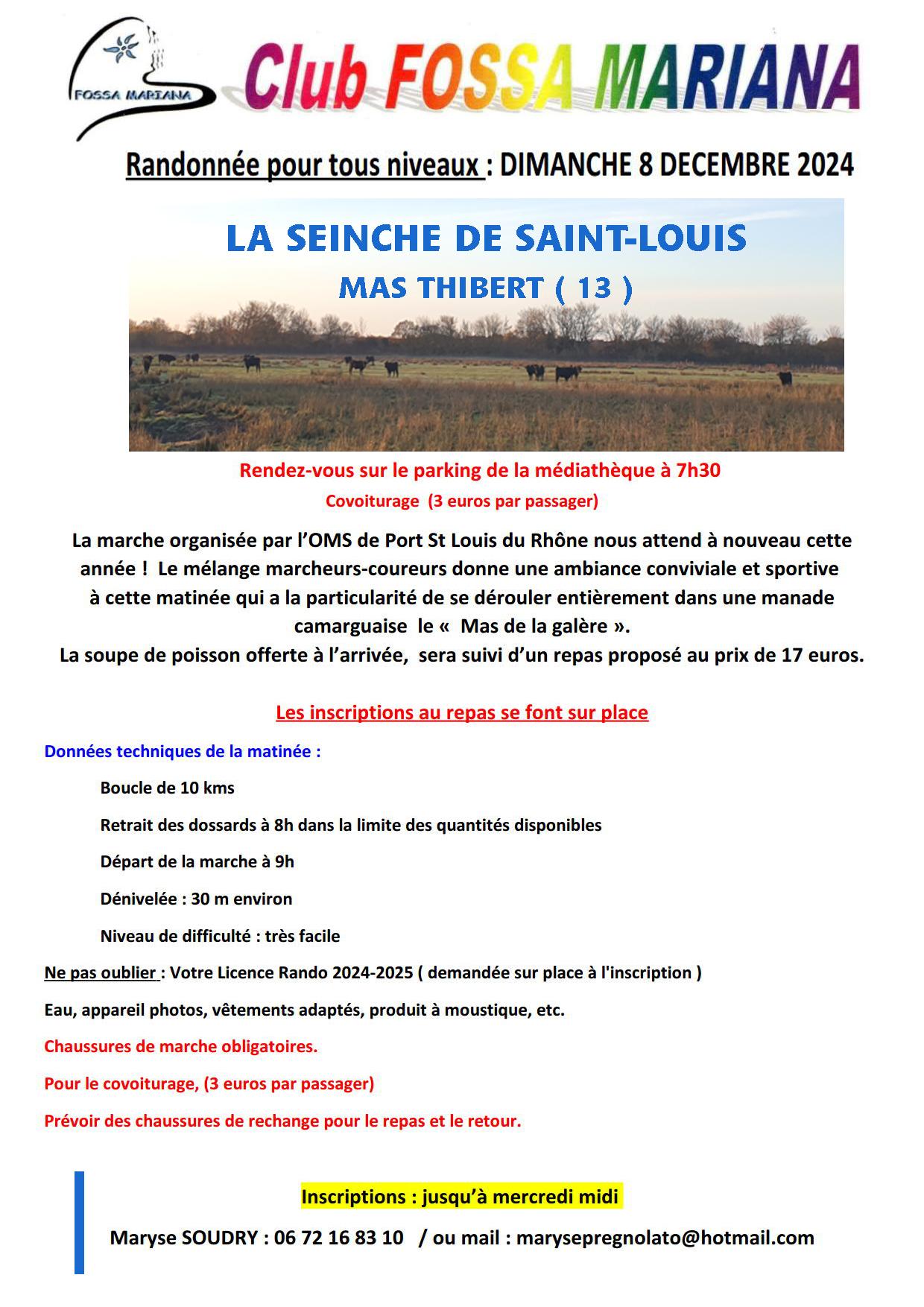 La seinche de st louis dimanche 8 decembre 2024 1 copie